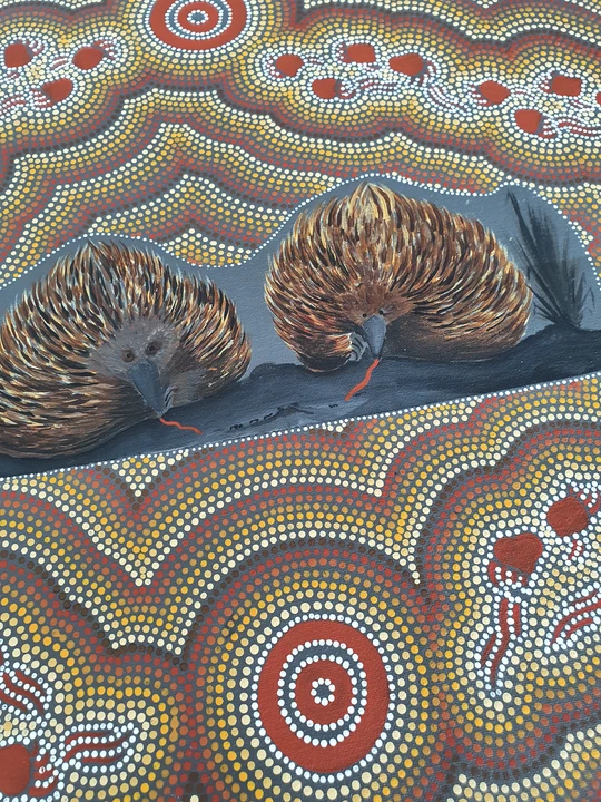 Small image for selecting a larger view of image Two Echidnas moving place to place looking for food