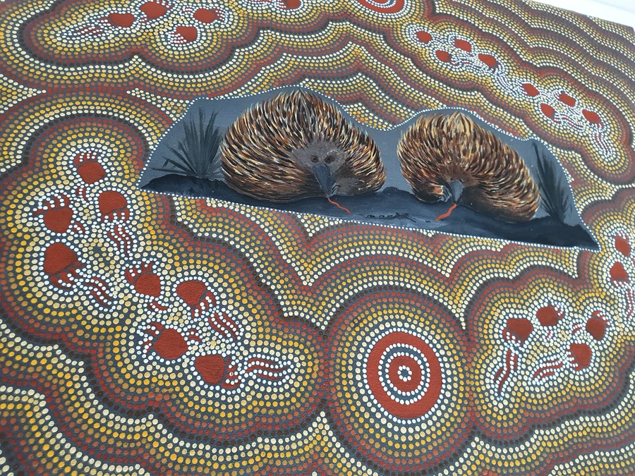 Small image for selecting a larger view of image Two Echidnas moving place to place looking for food