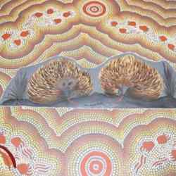 Small image for selecting a larger view of image Two Echidnas moving place to place looking for food